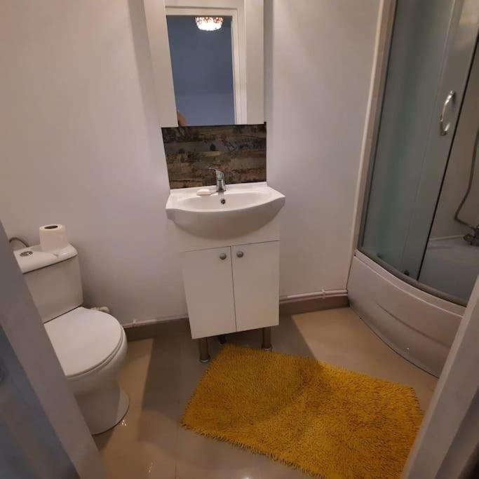 Apartament In Zona Catedralei Mitropolitane Iasi Exterior foto